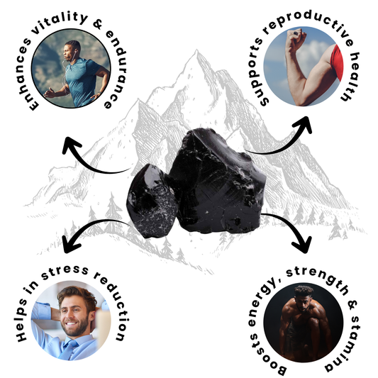 Jeevan Pure Shilajit Resin – Himalayan Energy & Vitality