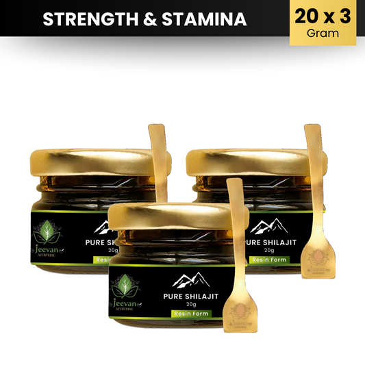 Triple - Jeevan Pure Shilajit Resin – Himalayan Energy & Vitality